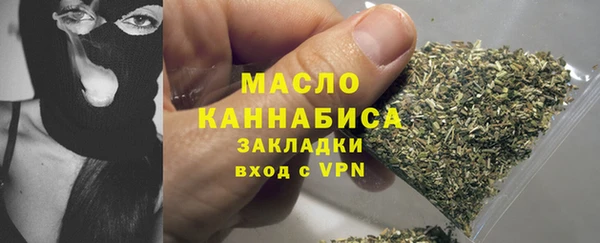 дживик Инта
