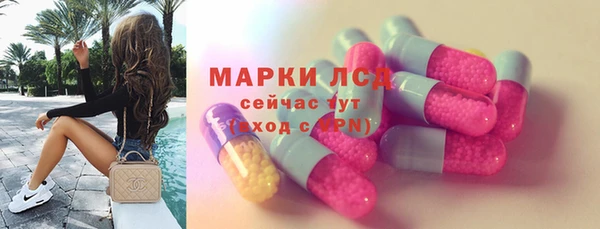 дживик Инта