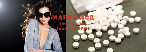 дживик Инта