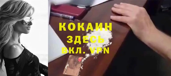 дживик Инта