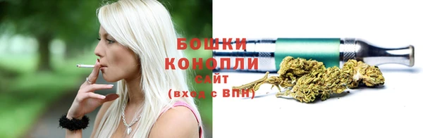 дживик Инта