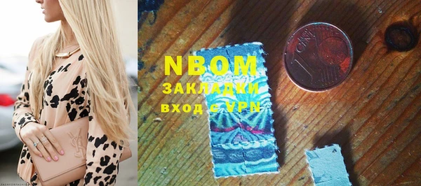 дживик Инта