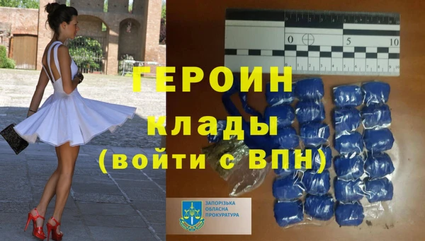 дживик Инта