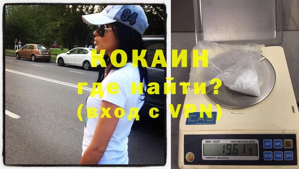 дживик Инта