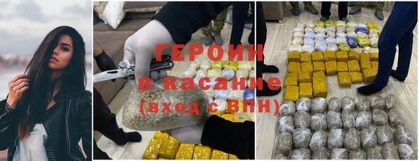 дживик Инта