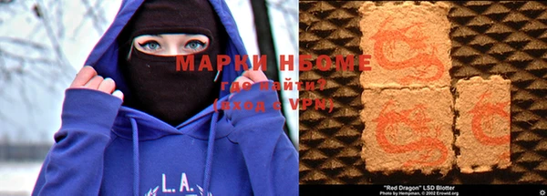 дживик Инта