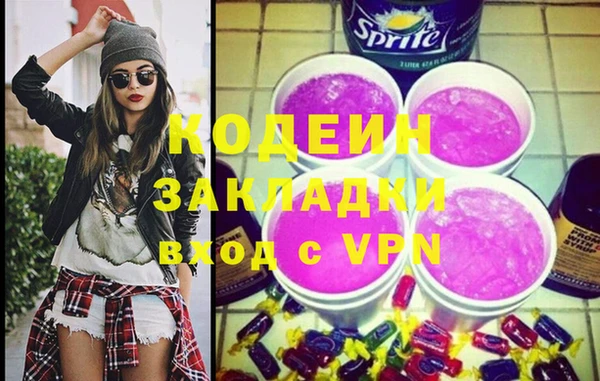дживик Инта