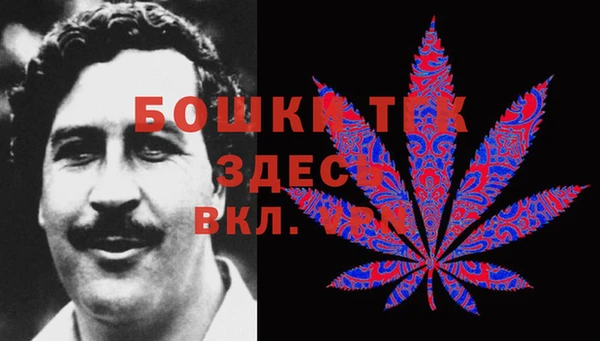 дживик Инта