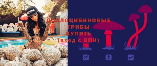 дурь Иннополис