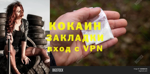 дживик Инта